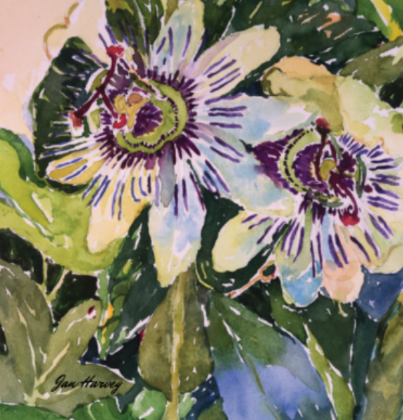 Passion Flower Square Scarf